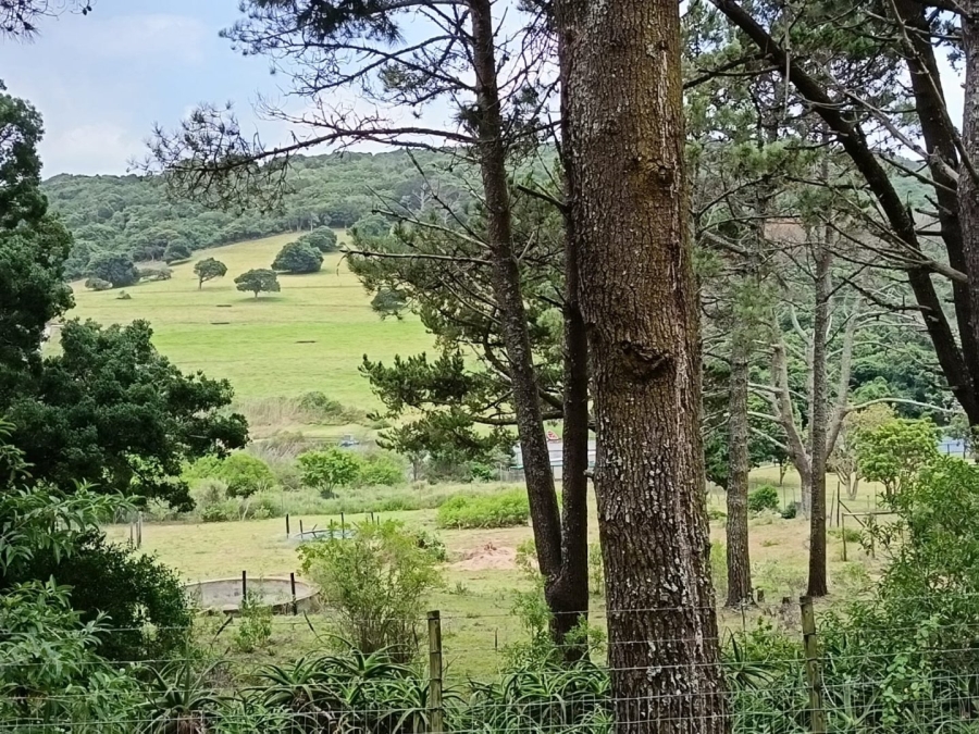 Commercial Property for Sale in Colleen Glen Eastern Cape